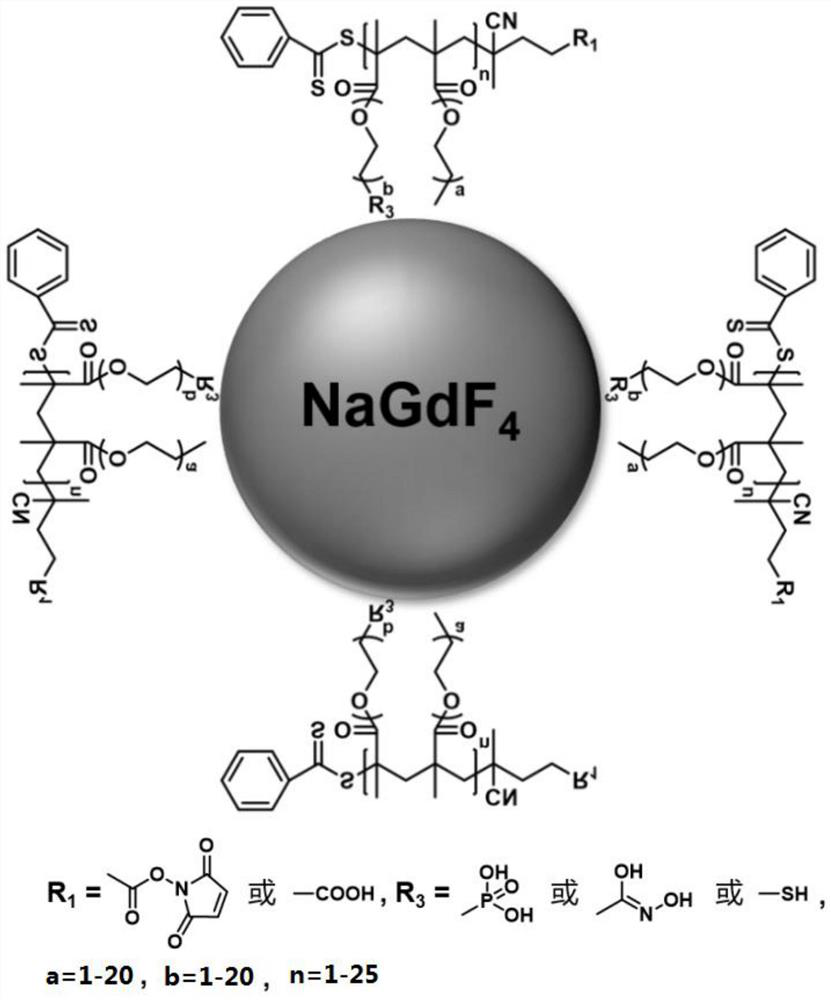 Magnetic resonance contrast agent and its preparation and application