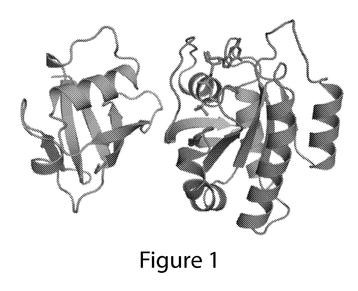 Ras inhibitory peptides and uses thereof