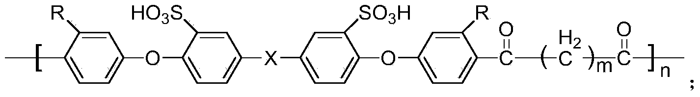 Semi-aromatic sulfonated polyether ketone and preparation method thereof