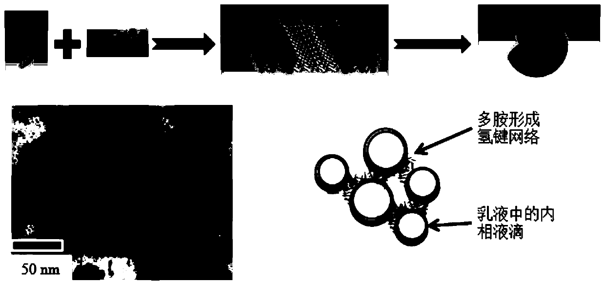 Emulsifier composition for forming oil-water emulsion