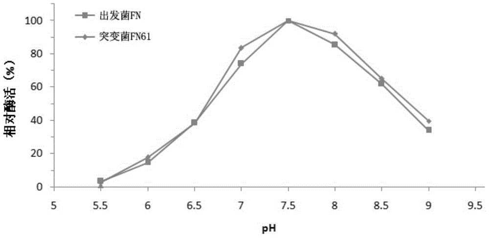 Bacillus amyloliquefaciens for high production of neutral protease