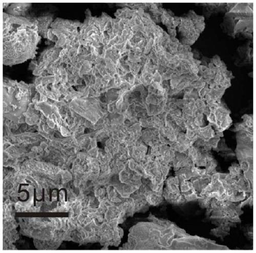 Magnetic porous iron-zirconium bimetal composite coagulant aid as well as preparation method and application thereof