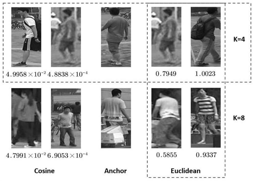 Pedestrian re-identification method based on clustering guidance and paired measurement triple loss