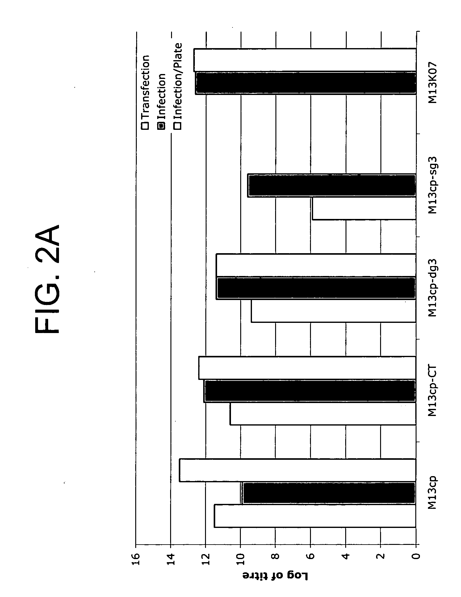 Plasmids and packaging cell lines for use in phage display