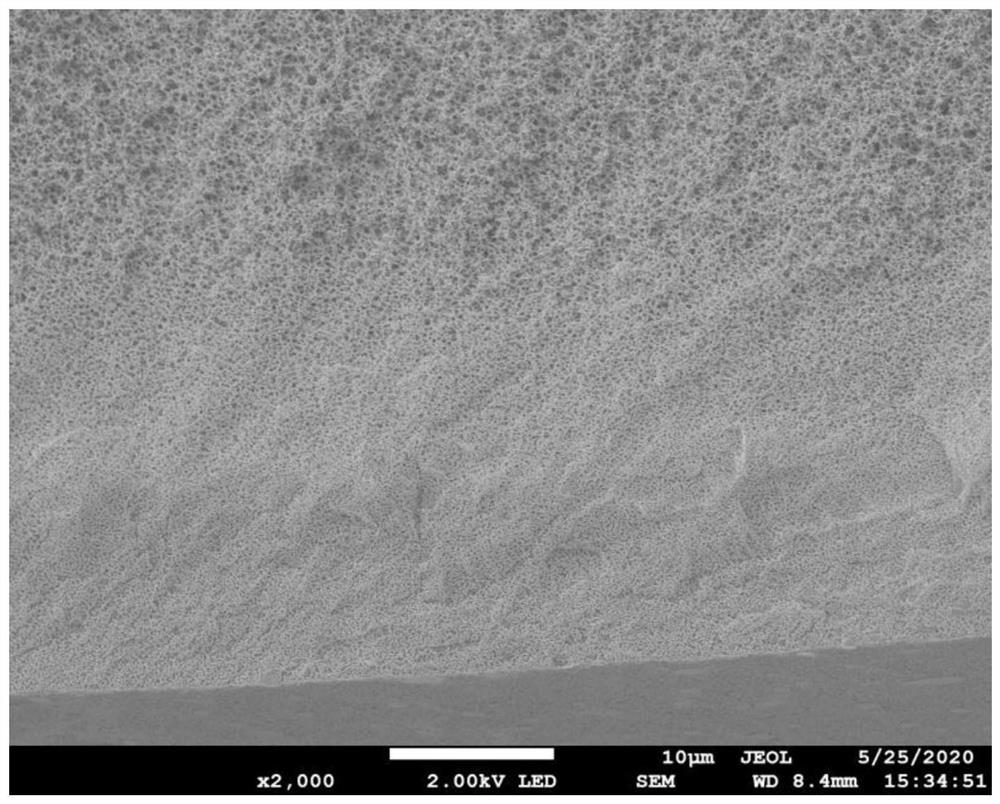 A kind of poly(4-methyl-1-pentene) hollow fiber membrane with gradient pore structure and its preparation method