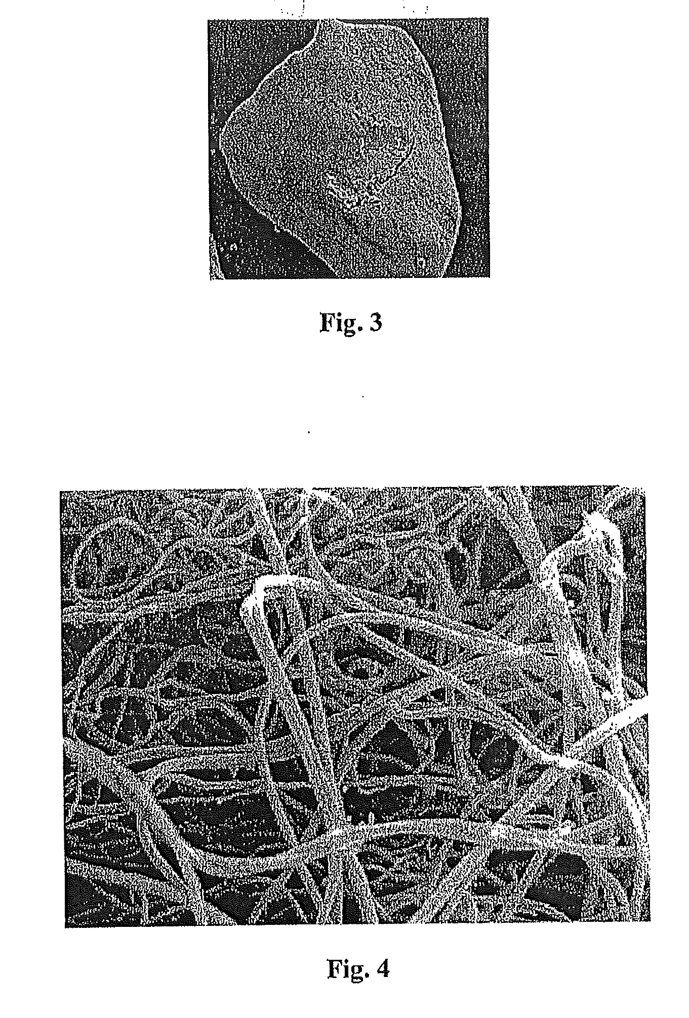 Compound material comprising a metal and NANO particles and a method for producing the same