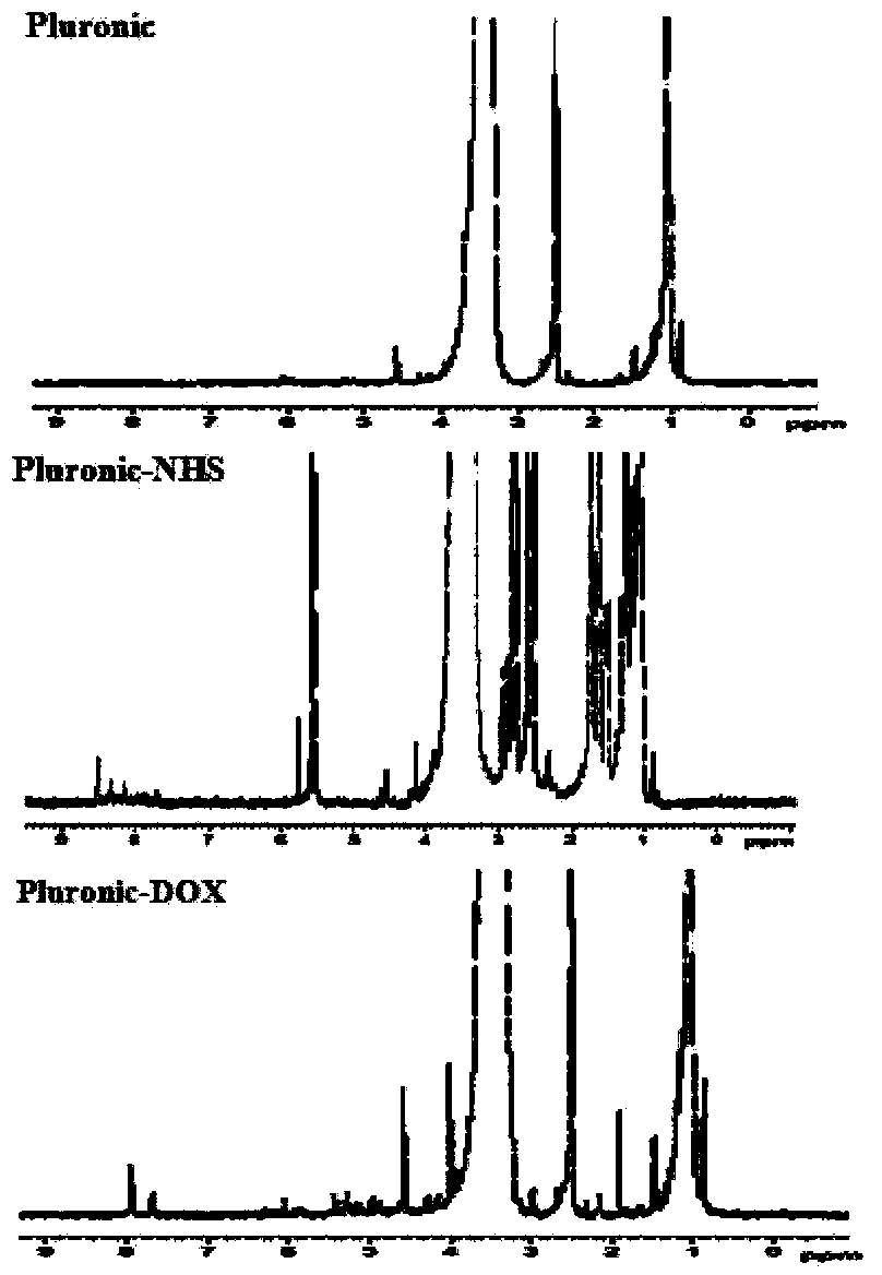 Combined drug-loading micelle of targeted integrin receptor and preparation method thereof