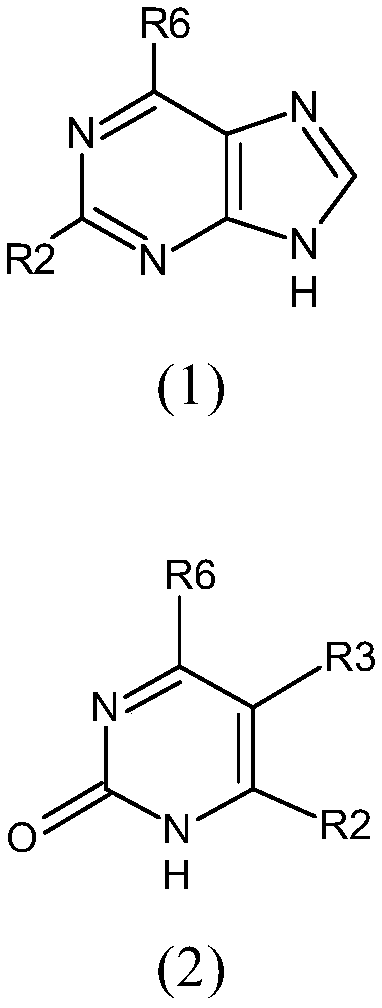 Compound capable of activating AMPK and application of compound