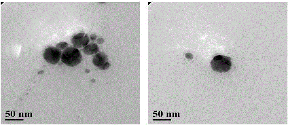 Preparing method of silver-containing anti-bacterial dressing