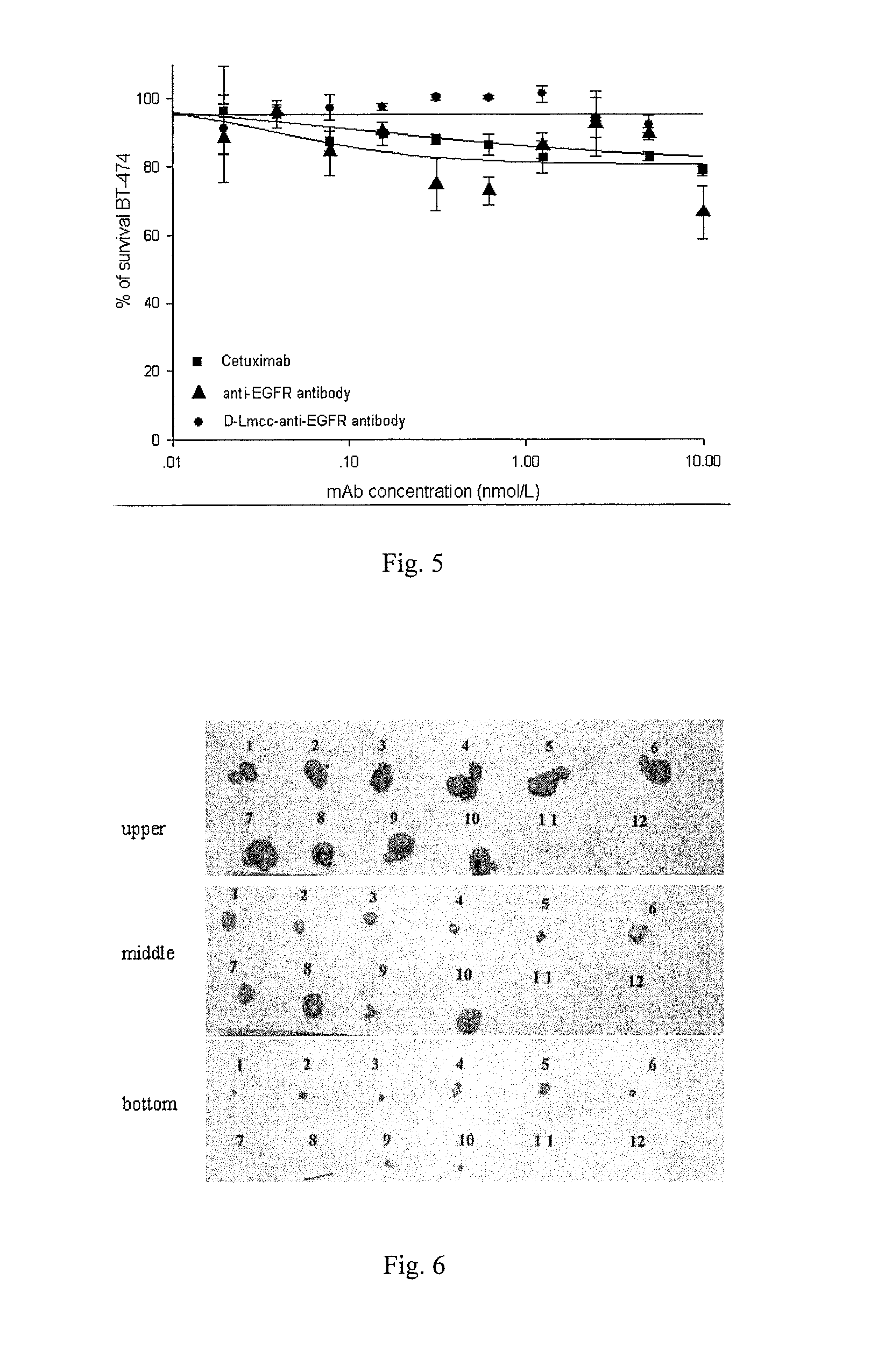 Compounds and methods for the treatment of EGFR positive diseases