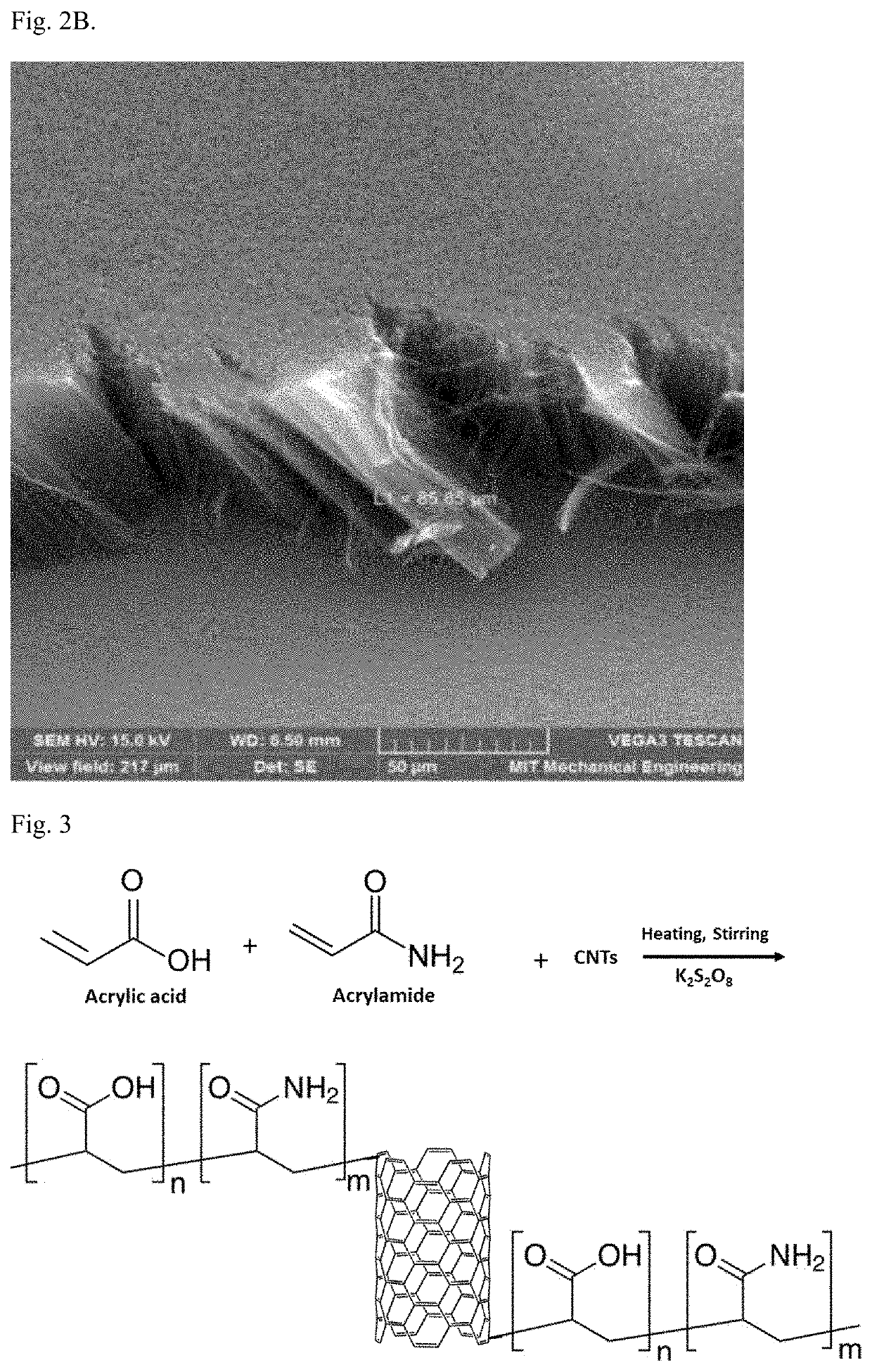 Method of producing a carbon nanotube grafted acrylic acid/acrylamide copolymer nanocomposite sorbent