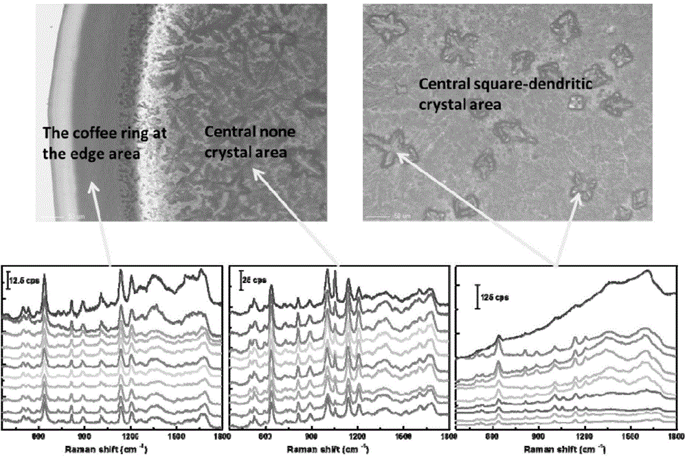 Tear test method based on surface-enhanced raman spectroscopy