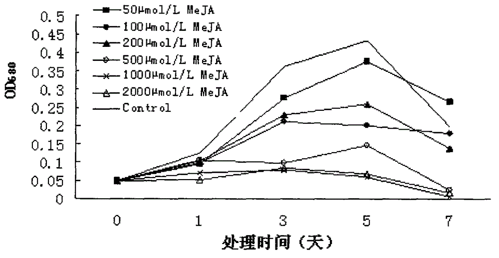 Method for increasing fucoxanthin content of Phaeodactylum tricornutum by using methyl jasmonic acid