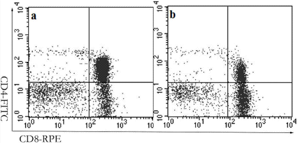 Method for assaying T lymphocytes subsets of chicken thymuses by flow cytometry