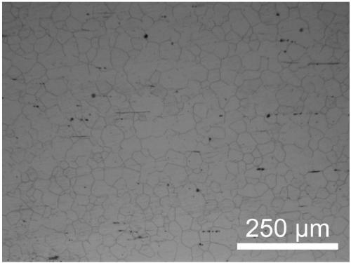 Preparation method of nano silicon dioxide/ferroferric oxide magnetic radiographic particle enhanced biological magnesium-based composite material