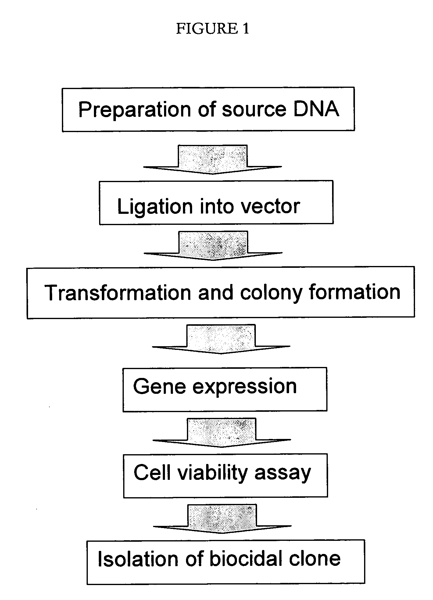 High throughput screening method for identifying molecules having biocidal function