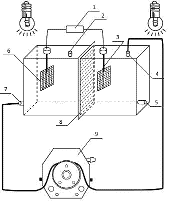 Device and a method for producing biodiesel in a coupling way by treating livestock and poultry breeding wastewater