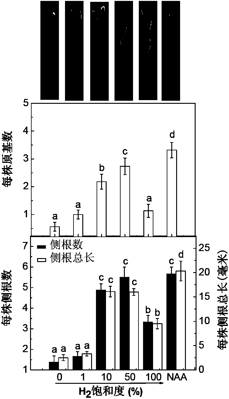 Hydrogen-rich liquid plant growth regulator, and preparation method and application thereof