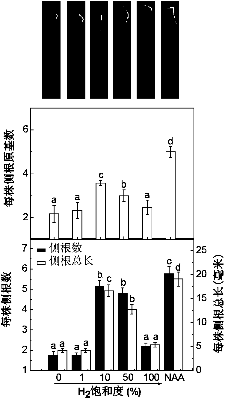 Hydrogen-rich liquid plant growth regulator, and preparation method and application thereof