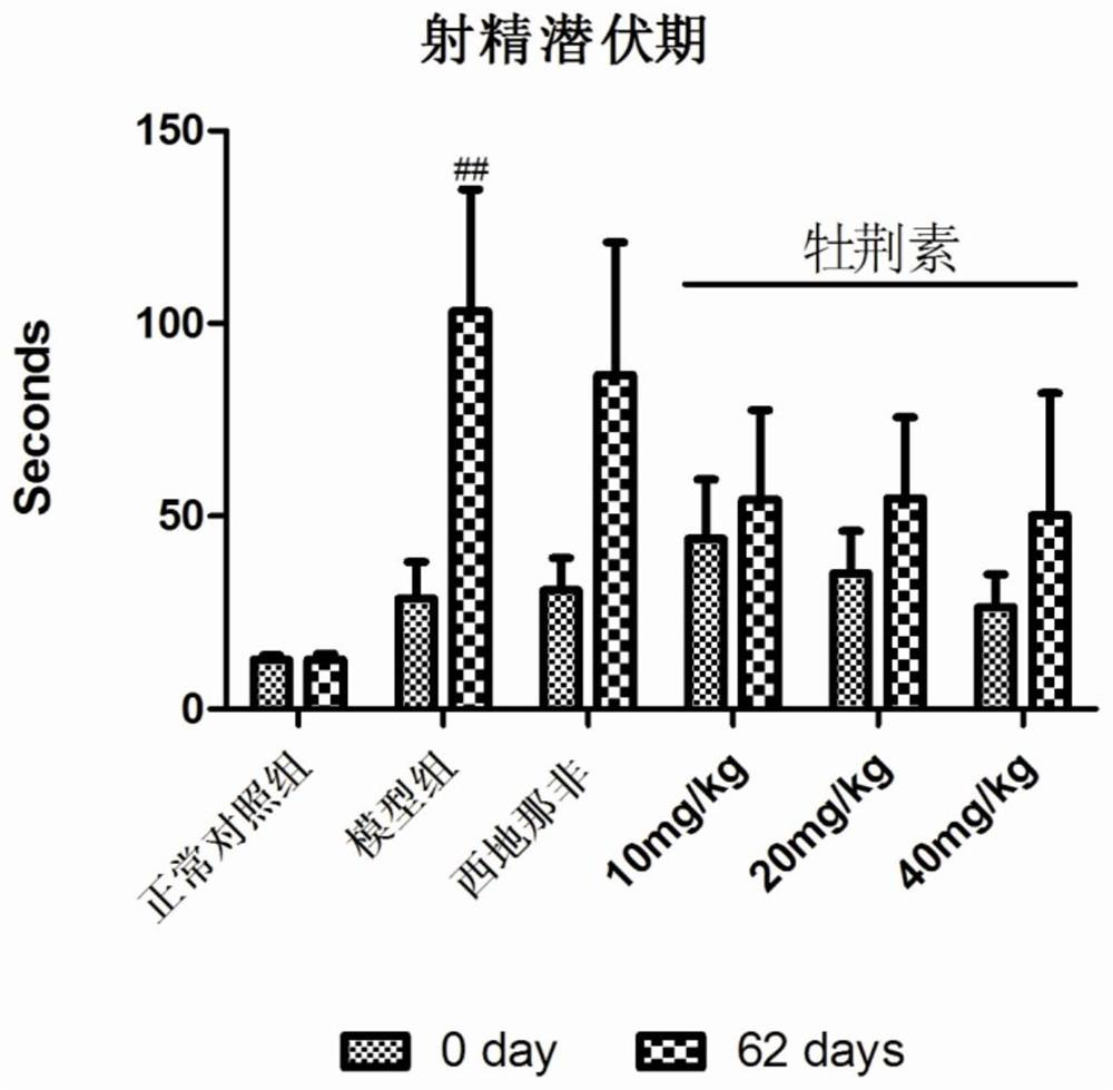 Application of vitexin in preparation of medicine for treating diabetes sexual function and hypofertility