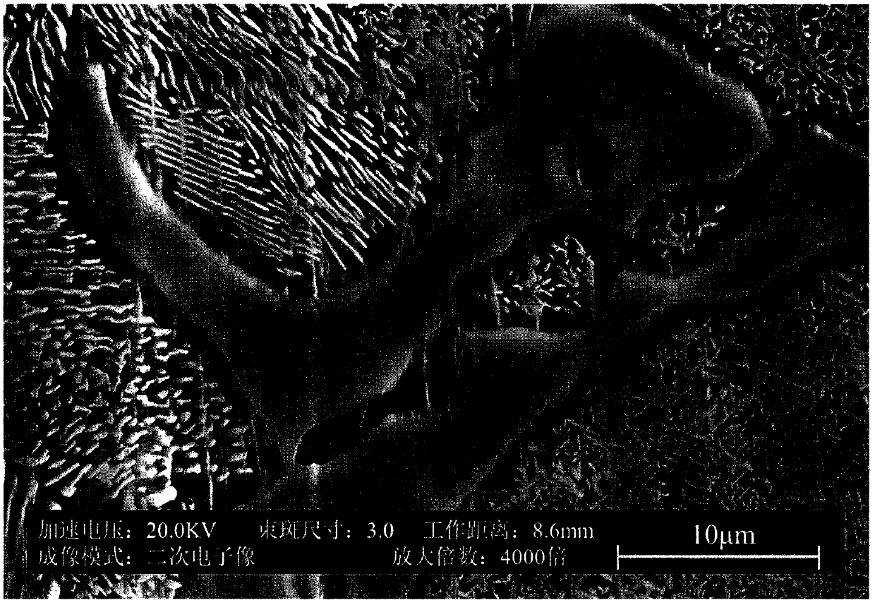 Magnetic memory alloy with in-situ precipitation and co-lattice precipitation phase and preparation method thereof