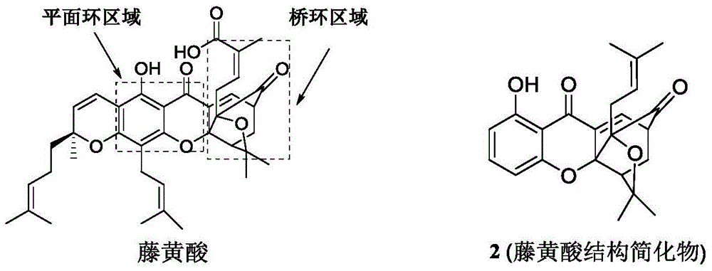 A class of garcinia triazole derivatives, preparation method and medicinal use thereof