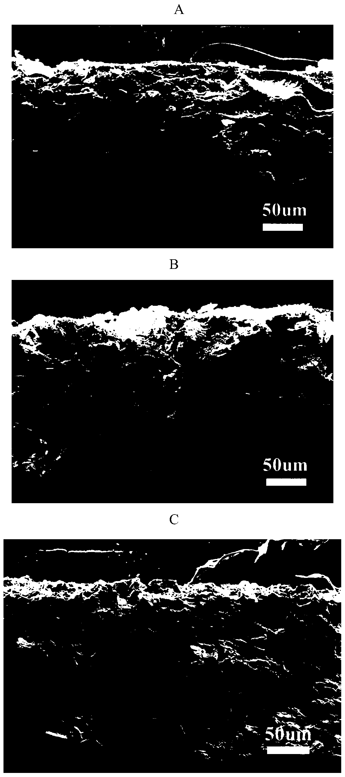 Lithium metal secondary battery based on porous ceramic composite lithium metal negative electrode and preparation method thereof