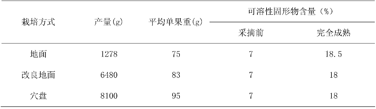 Method for cultivating kiwi fruits in unsuitable distribution areas