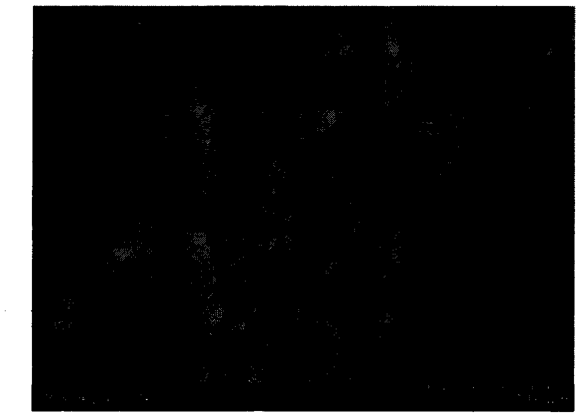 A method for preparing continuous cellulose/nanometal airgel fibers with catalytic performance after loading nanometer metals