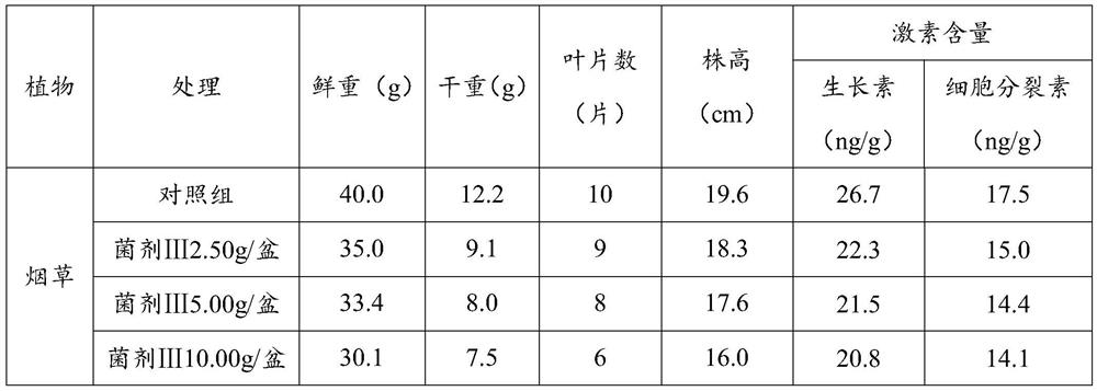 Penicillium composition for promoting plant growth, fungicide and application thereof