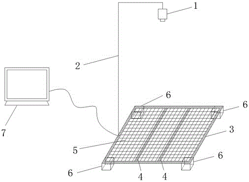 On-site counting and weighing method and system for chickens