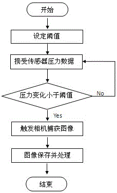 On-site counting and weighing method and system for chickens