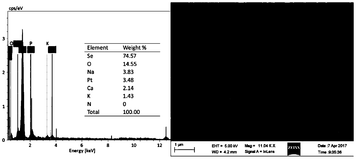 A kind of spirulina biotransformation natural nano-selenium and its preparation method and application