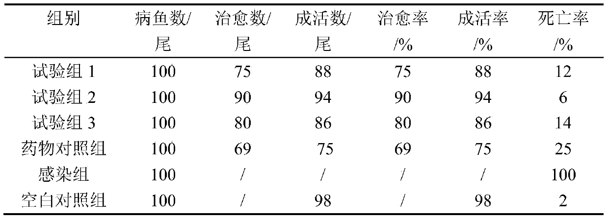 Traditional Chinese medicine composition for preventing grass carp hemorrhagic disease and preparation method thereof