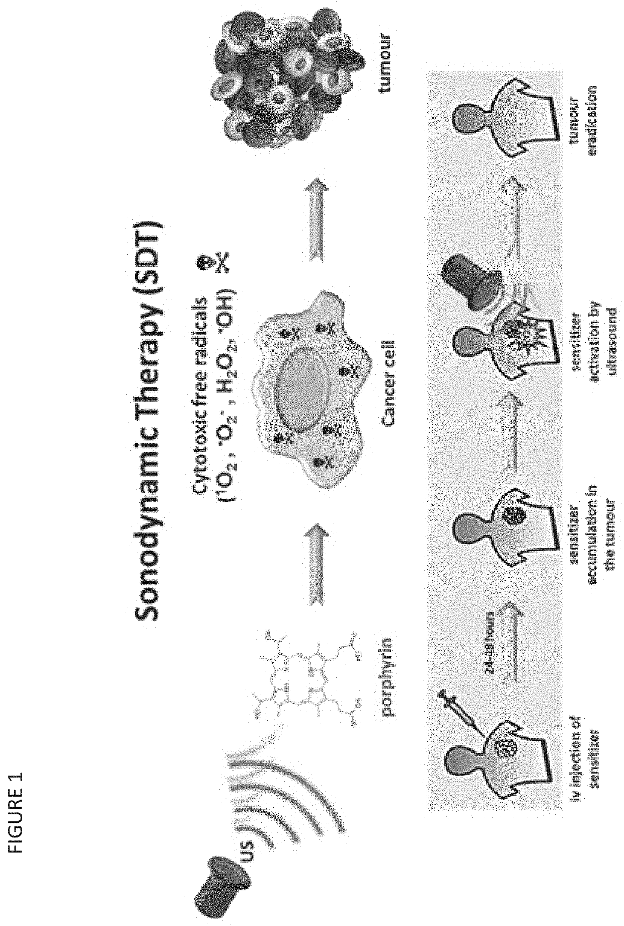 Nanoparticles for Cancer Therapy and Diagnosis