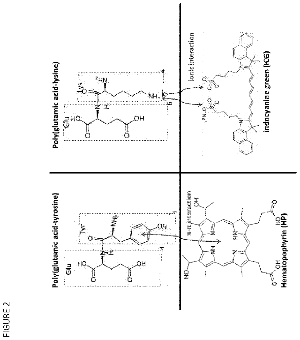 Nanoparticles for Cancer Therapy and Diagnosis