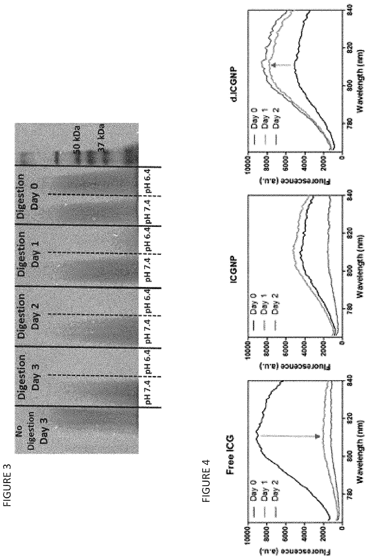 Nanoparticles for Cancer Therapy and Diagnosis