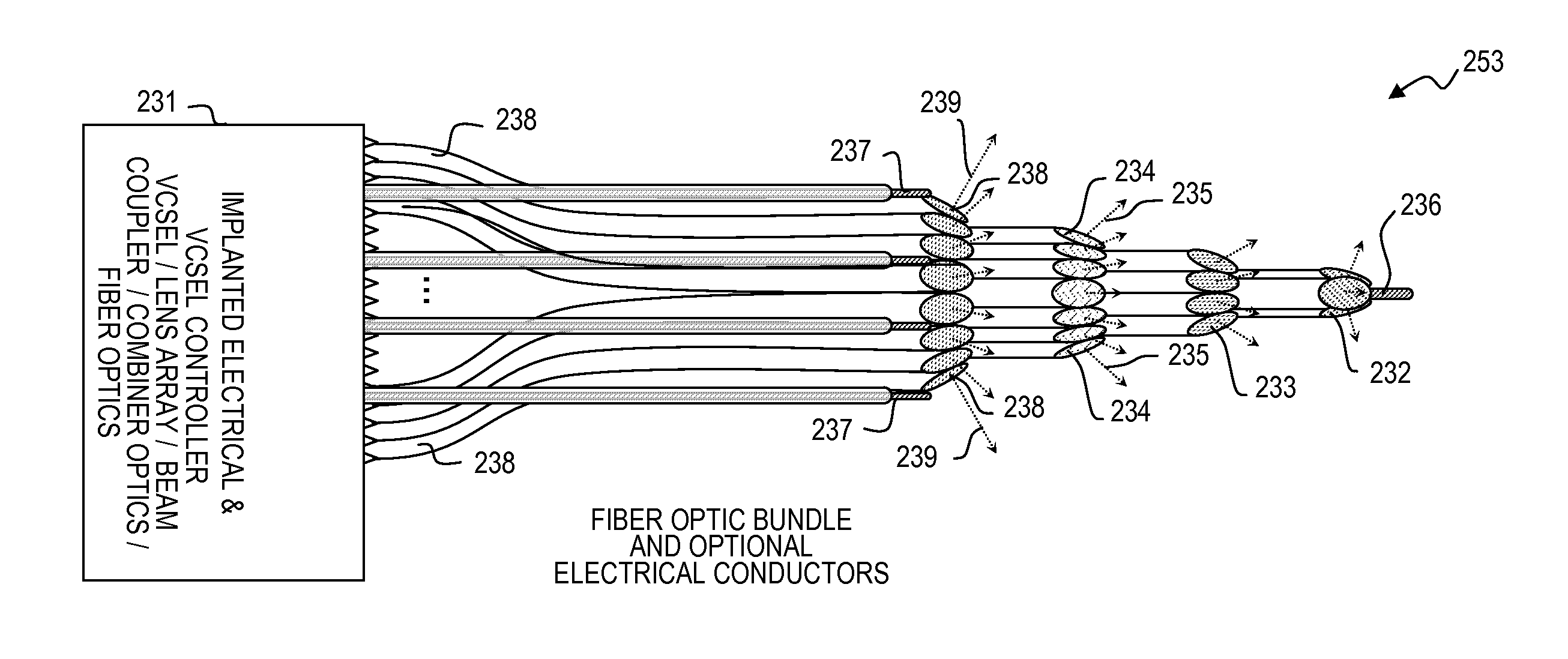 Nerve-penetrating apparatus and method for optical and/or electrical nerve stimulation of peripheral nerves