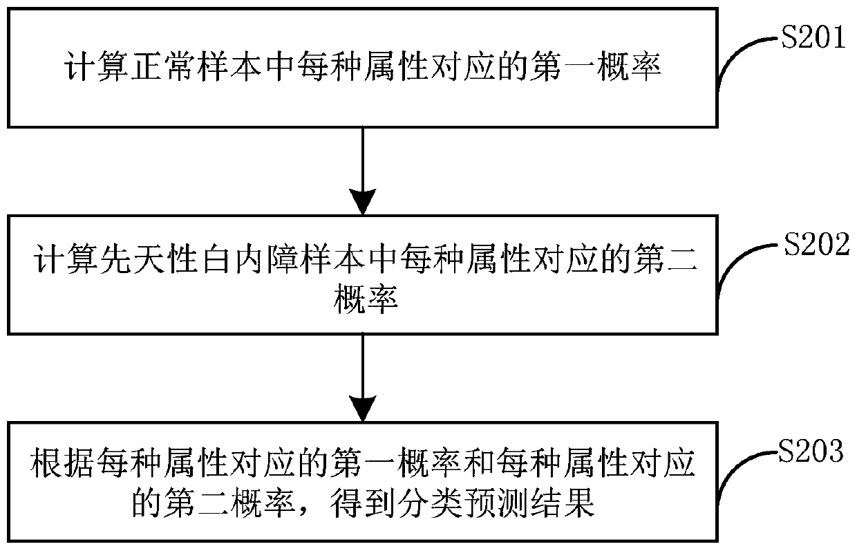 Screening method for congenital cataract risk degree and device thereof