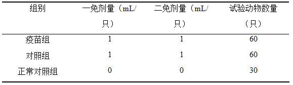 Bivalent inactivated vaccine for rabbit pasteurellosis and preparation method thereof