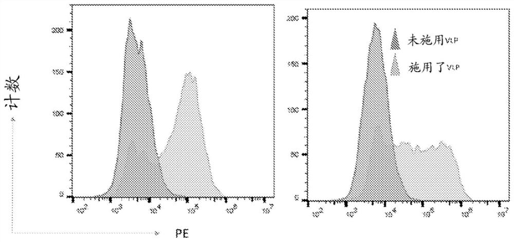 Conjugated virus-like particles and uses thereof as Anti-tumor immune redirectors