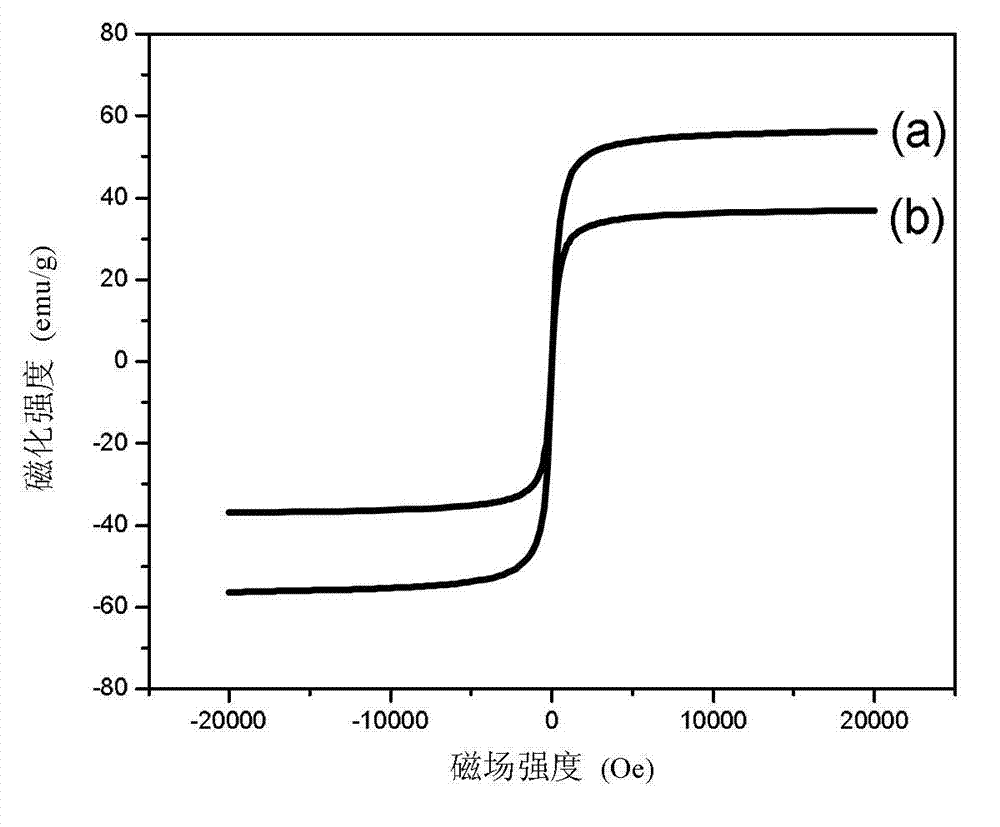 Magnetic carbon nanotube composite material and preparation method and application thereof