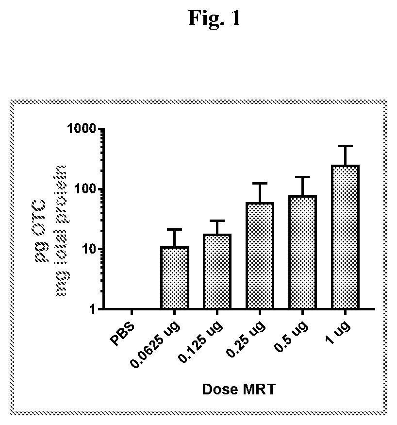 Messenger RNA therapy for treatment of ocular diseases - Eureka | Patsnap