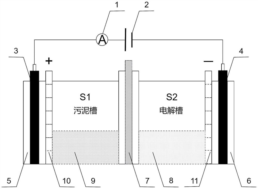 Device for removing heavy metal in sludge in situ through electric coupling of graphene hydrogel