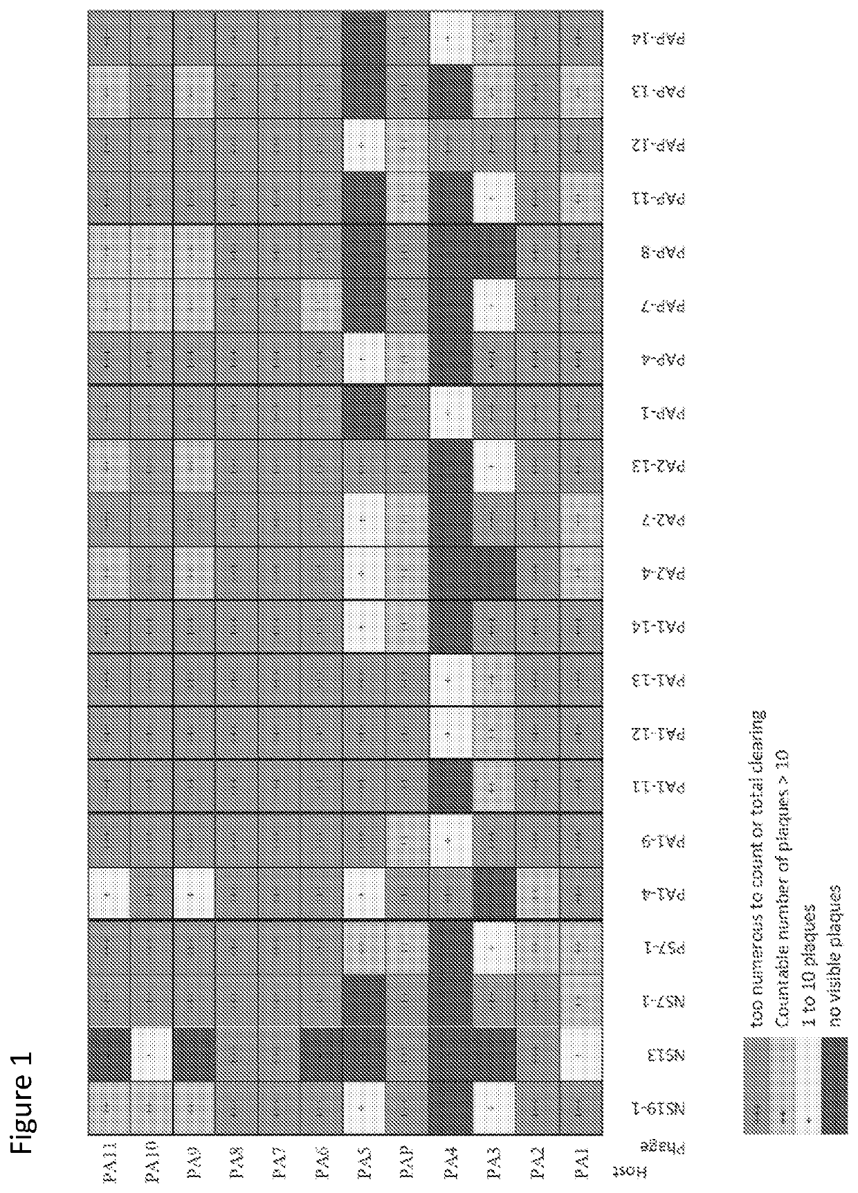 Bacteriophage treatment for acne and biofilms