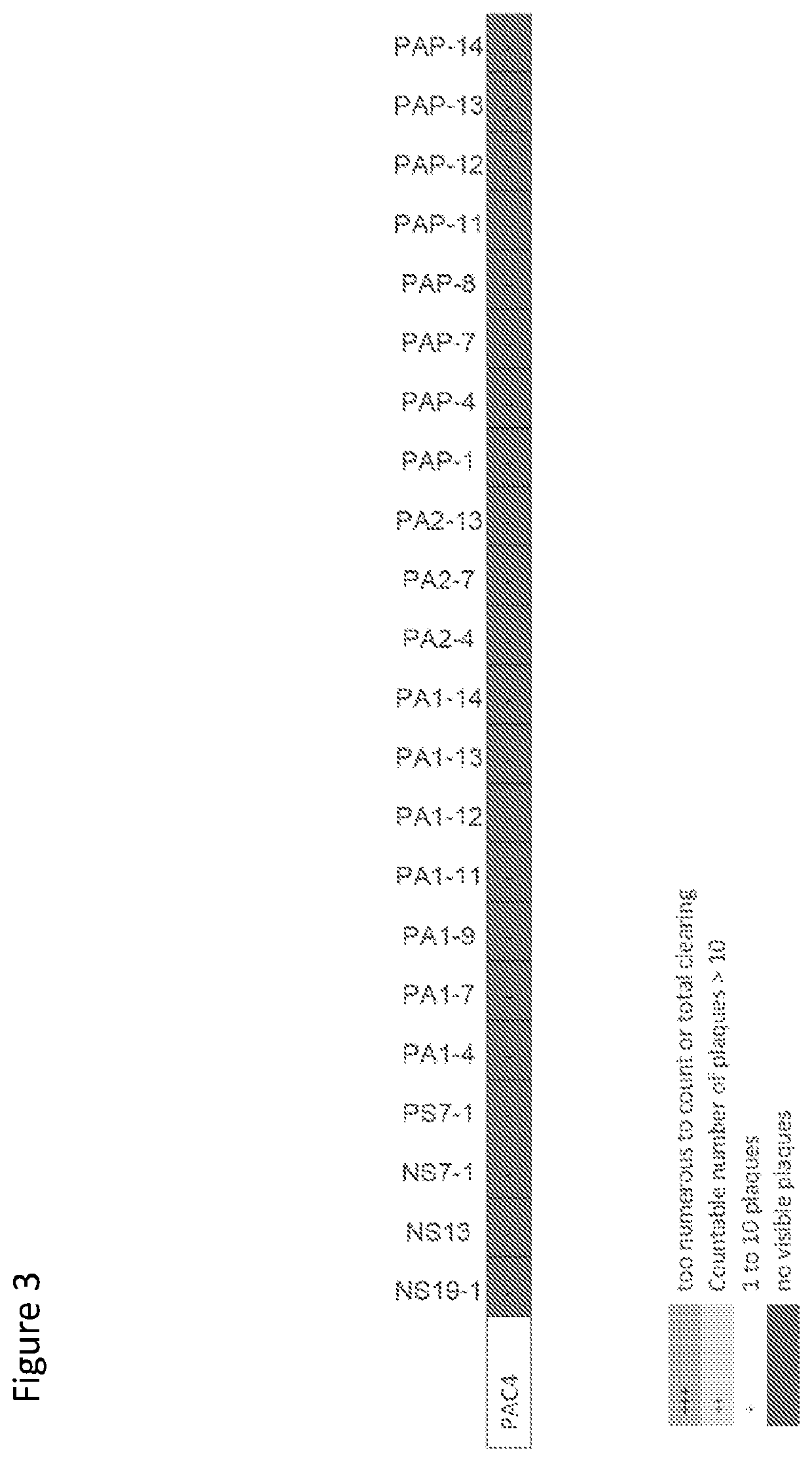 Bacteriophage treatment for acne and biofilms