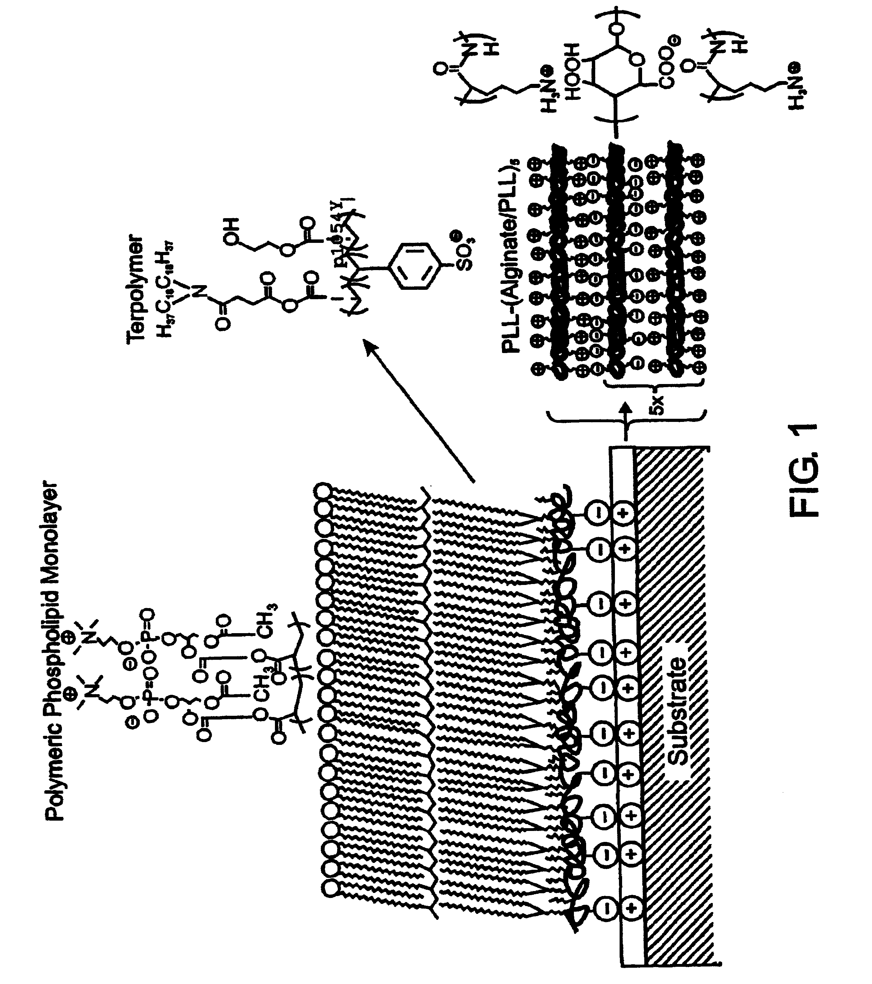 Biological component comprising artificial membrane