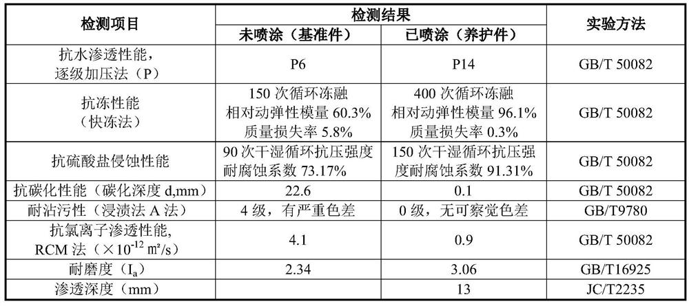 Protective agent for improving self-protection capability of cement concrete in active service and preparation method of protective agent