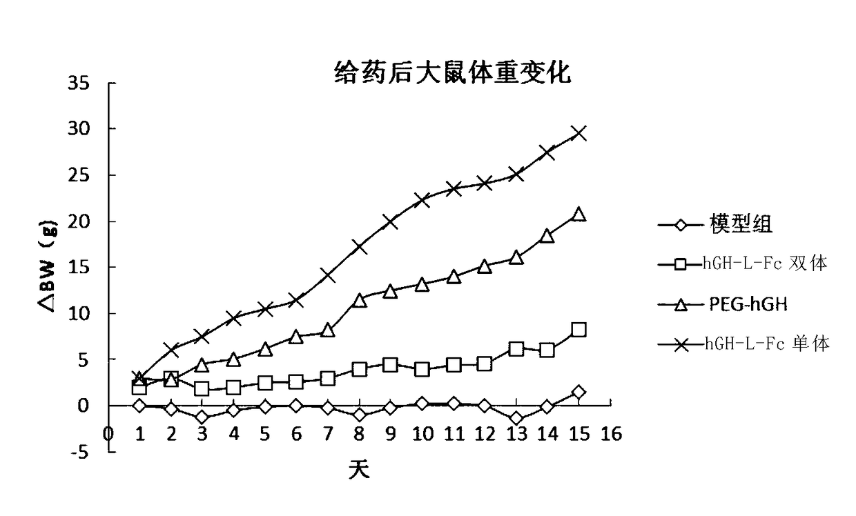 Recombinant long-acting HGH (human growth hormone) fusion protein and preparation and application thereof