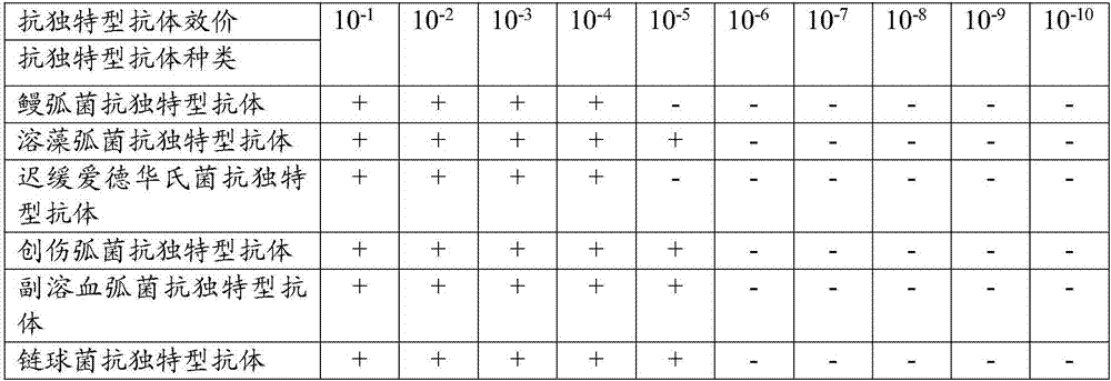 Mariculture fish multiple anti-idiotypic egg yolk antibody vaccine and preparation method thereof